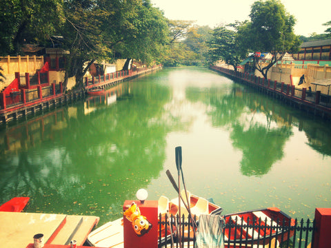 Alappuzha Canals