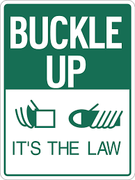 buckle up car seat law