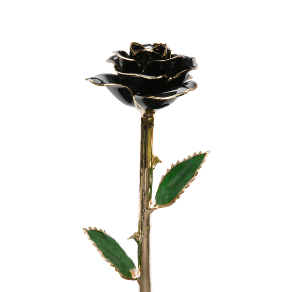 Silver Forever Rose – Black - The Forever Rose