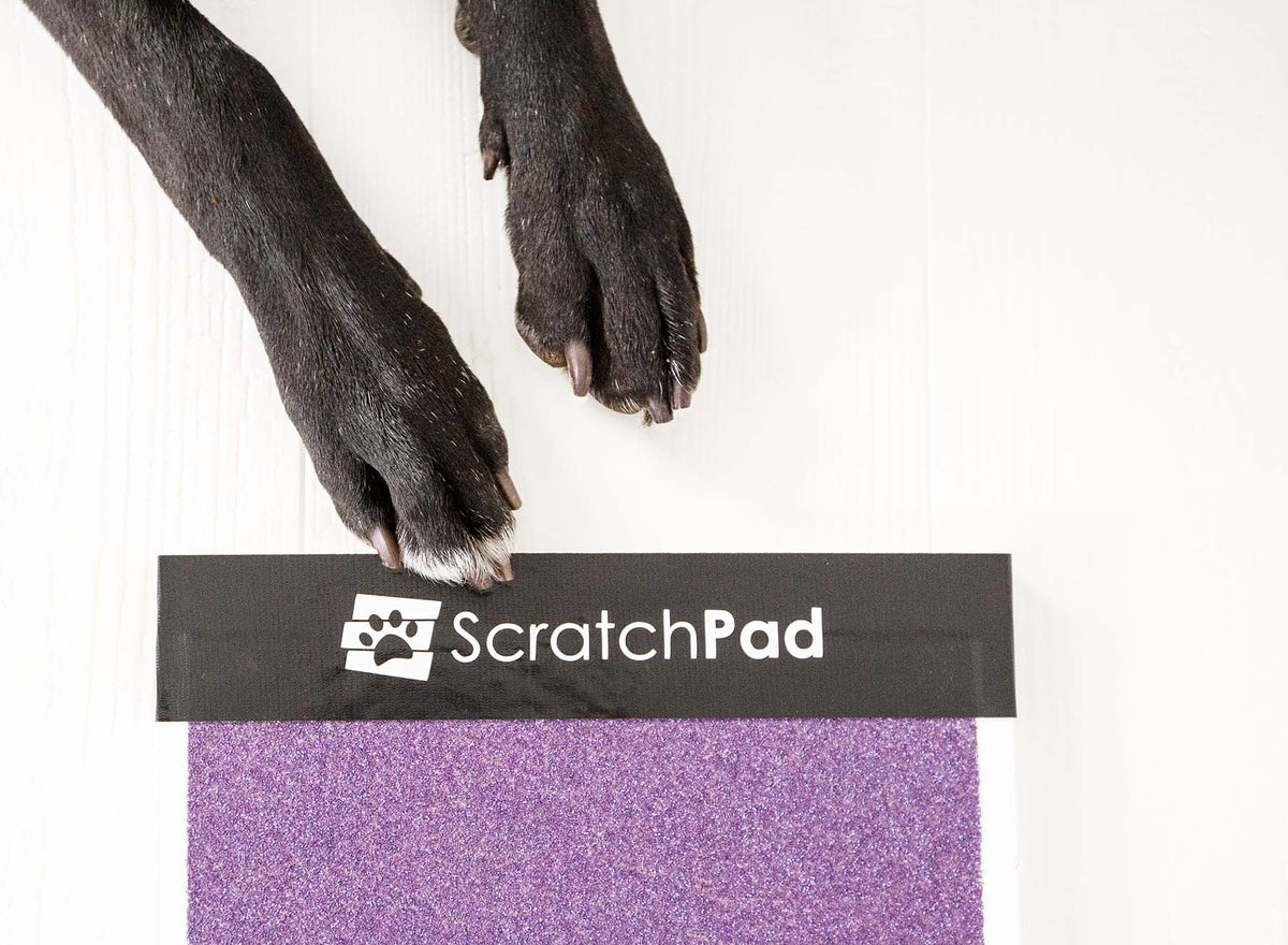 dog nail scratch pad