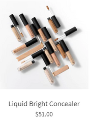 Liquid Bright Concealer