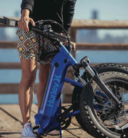 Hurley StowAway Foldable E-bike / Wellbots