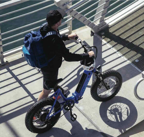 Hurley StowAway Foldable E-bike / Wellbots