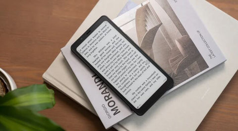 Onyx Boox Palma e-reader / Wellbots