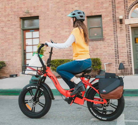 Rattan LF 750W Pro Foldable Fat Tire Ebike / Wellbots