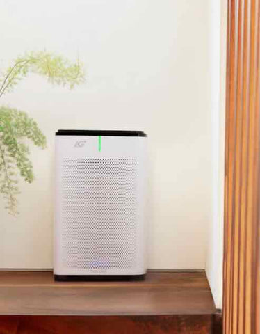 Wellbots / Brondell Pro Sanitizing Air Purifier with AG+ Technology