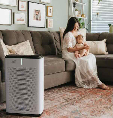 Wellbots / Brondell Pro Sanitizing Air Purifier with AG+ Technology