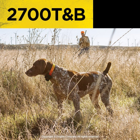 DOGTRA 2700T&B Training & Beeper Collar