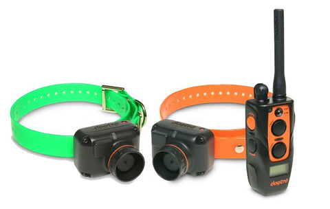 DOGTRA 2700T&B Training & Beeper Collar