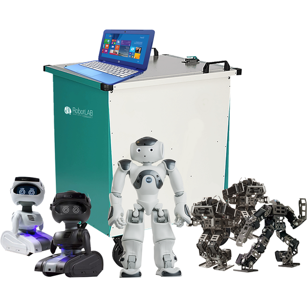 Programmable Humanoid Robot Robotis Mini