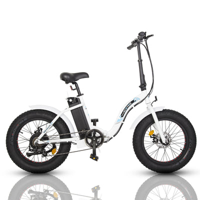 Ecotric Portable and Folding Electric Fat Bike Model Dolphin