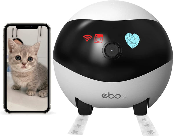Enabot Ebo Familybot Pro The Smart Robot Companion India