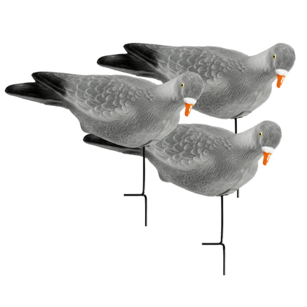 pigeon goose goose duck