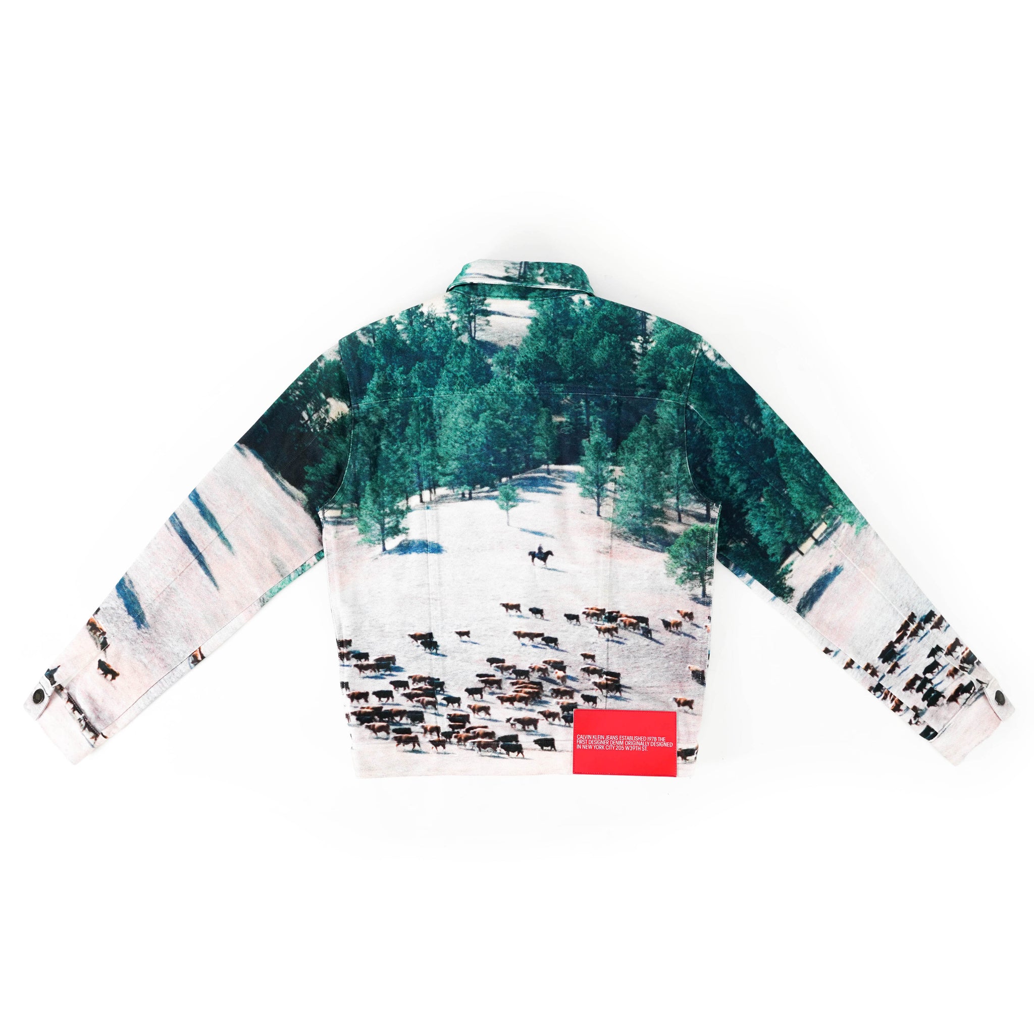 calvin klein landscape jacket