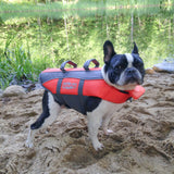 Life Jackets French Bulldog Rescue Network