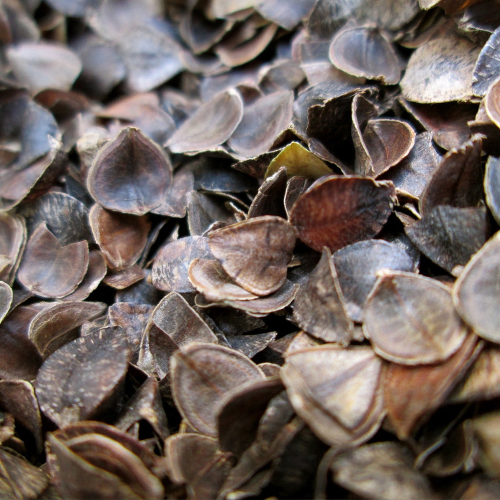 Certified Organic Buckwheat Hulls 