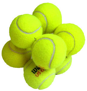 pet planet dog toys