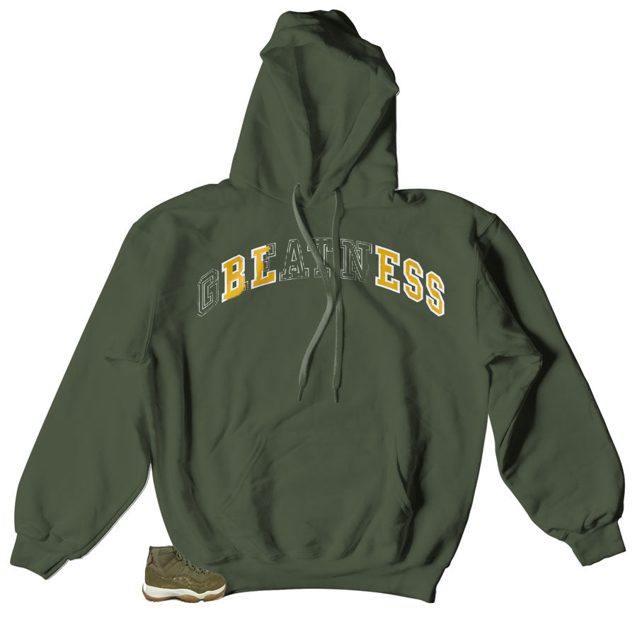 olive jordan hoodie