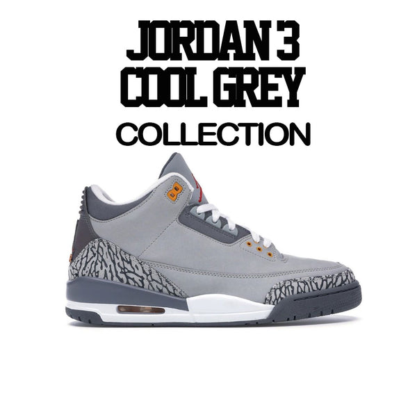 cool grey jordan 3 shirt