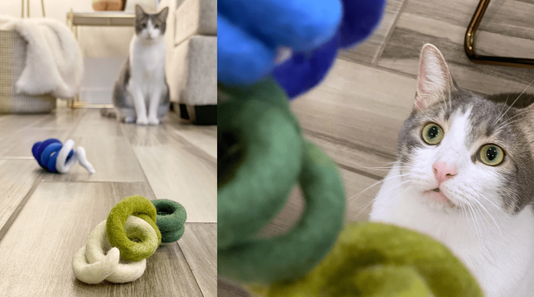 Felt Wool Spiral Cat Toy