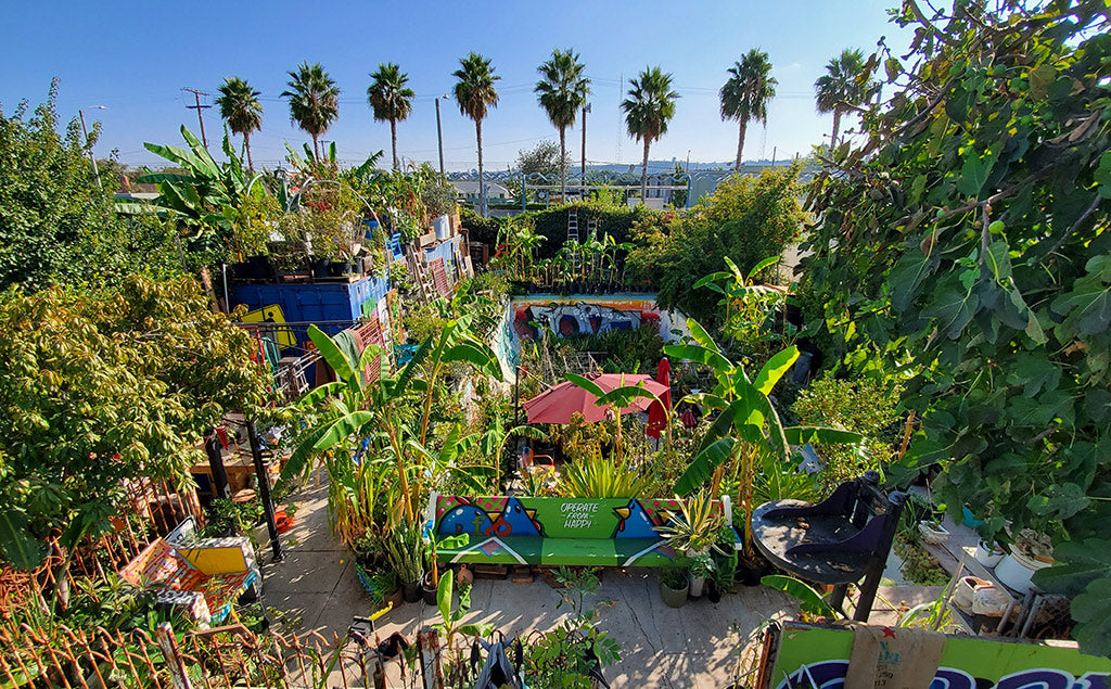 Ron Finley Garden South Central