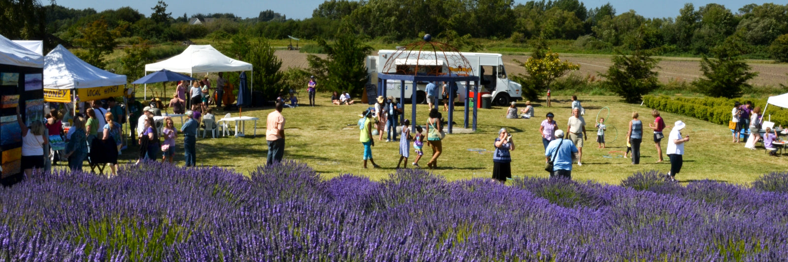 Lavender Festival | Live Stream, Lineup, and Tickets Info