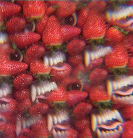 Oh Sees Orc Castle Face Records