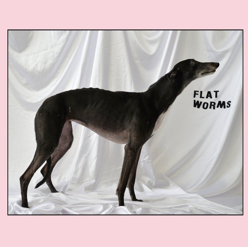 flat worms band