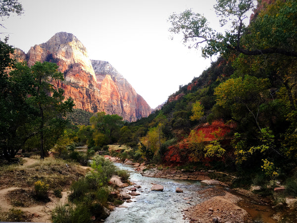 Zion National Park