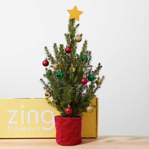 Zing Letterbox Christmas Tree