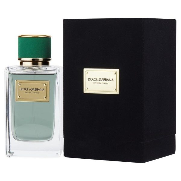 dolce & gabbana velvet cypress