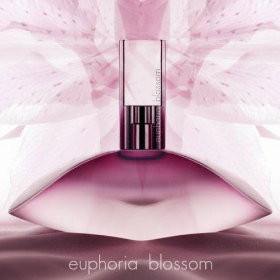 calvin klein euphoria blossom