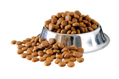 Best Dog Food Brands