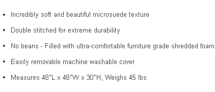 Bullet points of features for the 4 ft bean bag chair.
