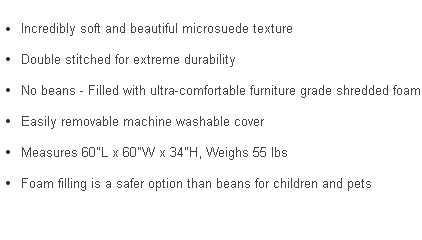 Bullet points of features for the 5 ft bean bag chair.