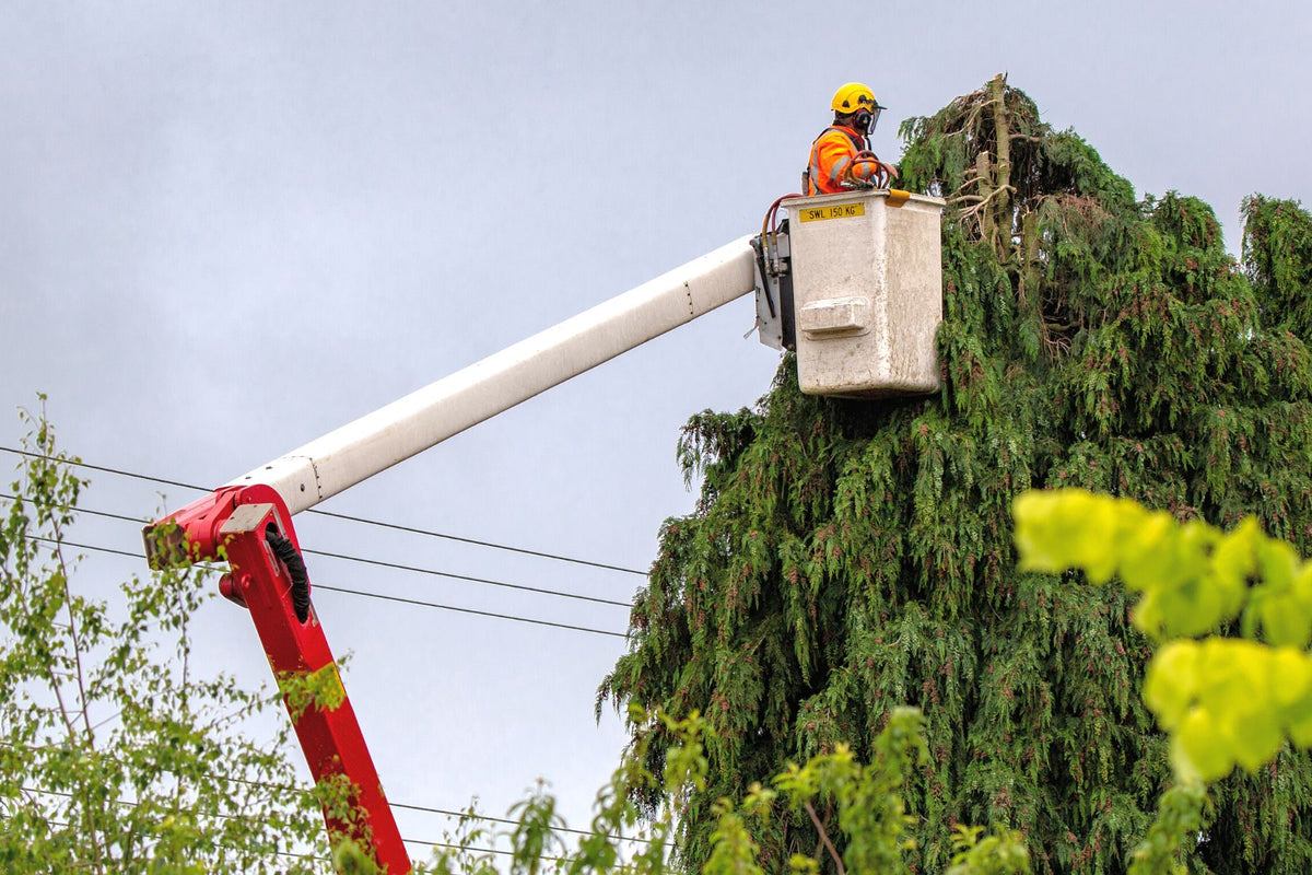 Emergency Tree Services