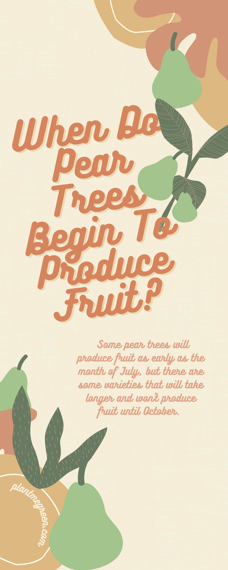 When Do Pear Trees Begin To Produce Fruit?