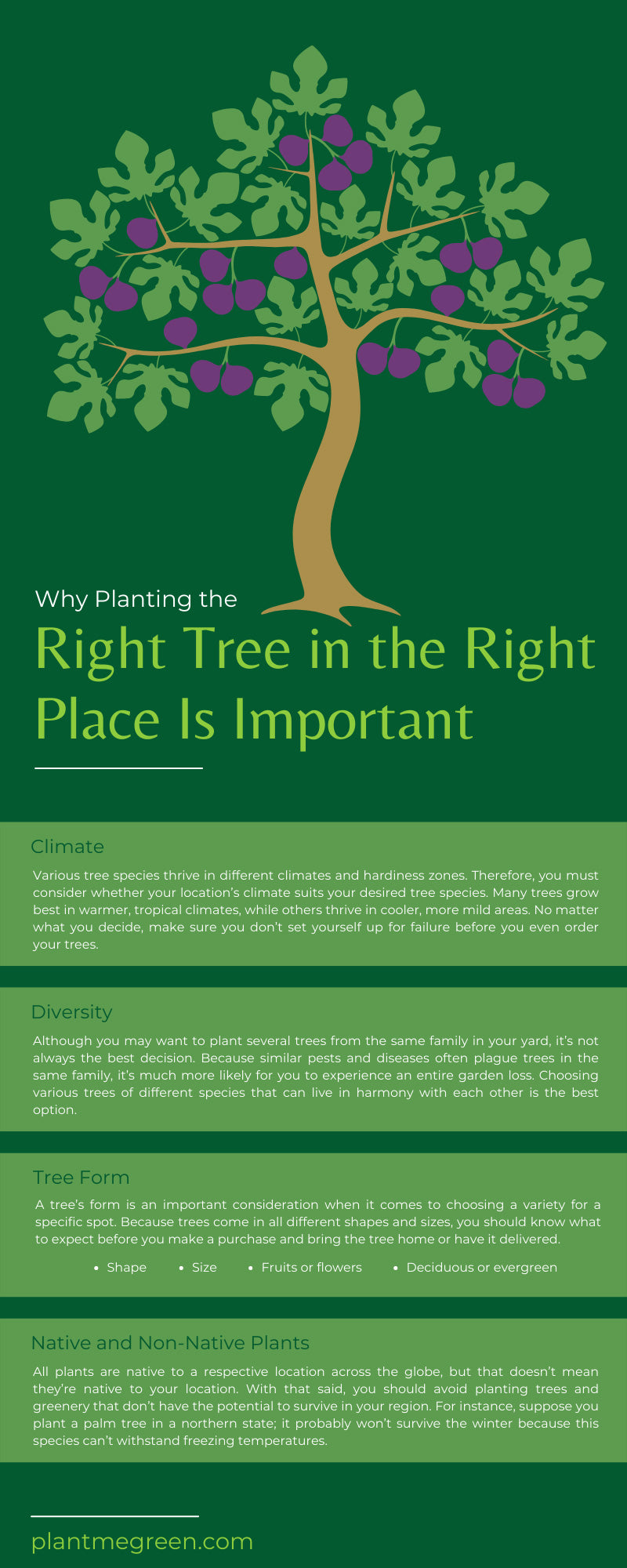 Why Planting the Right Tree in the Right Place Is Important