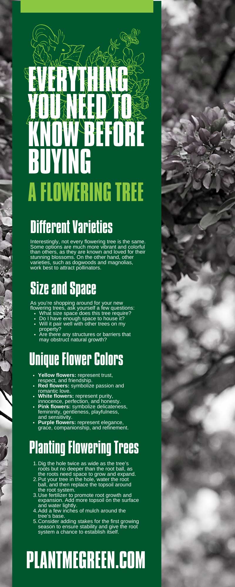 Everything You Need To Know Before Buying a Flowering Tree