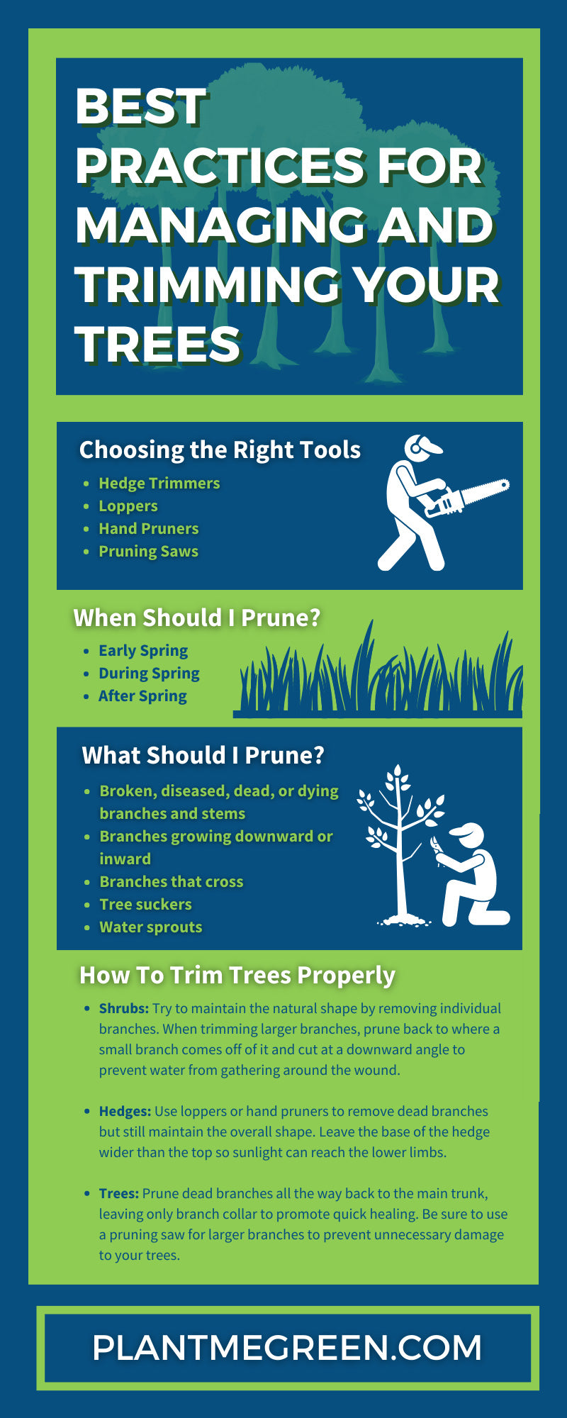 Best Practices for Managing and Trimming Your Trees
