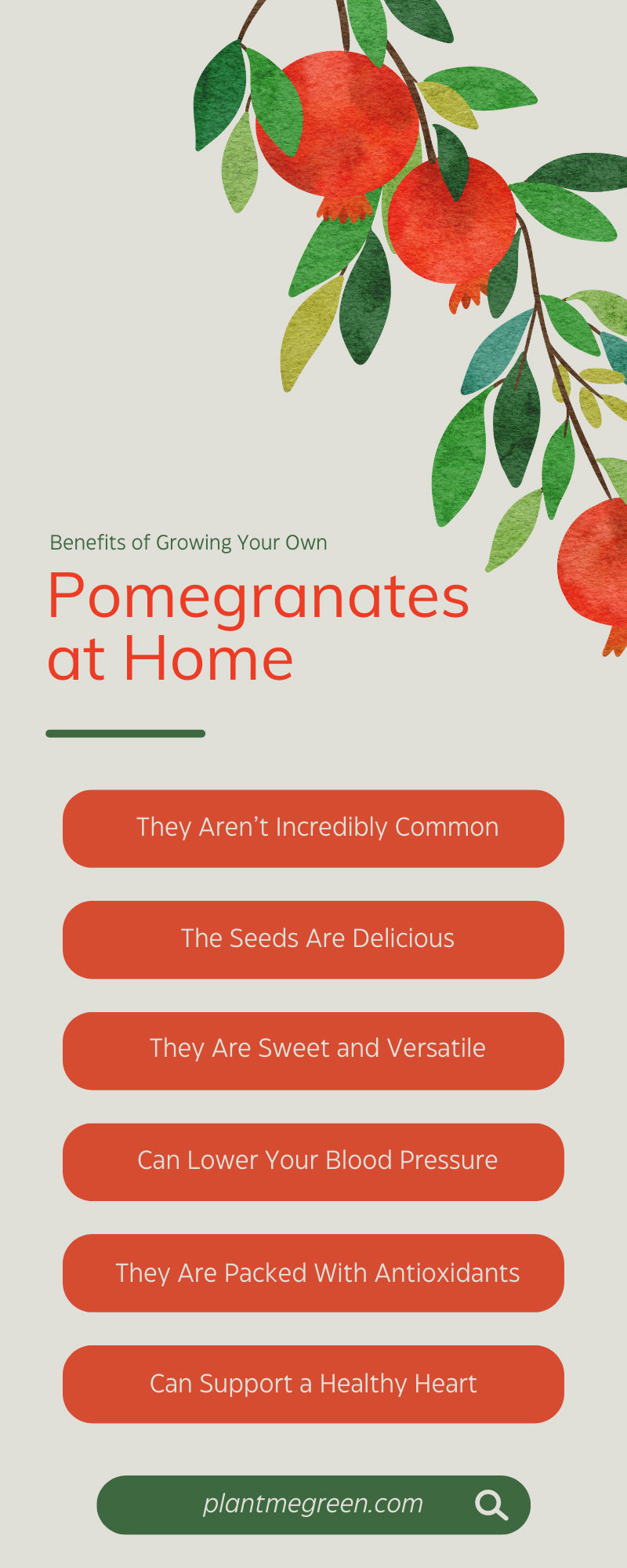 10 Benefits of Growing Your Own Pomegranates at Home