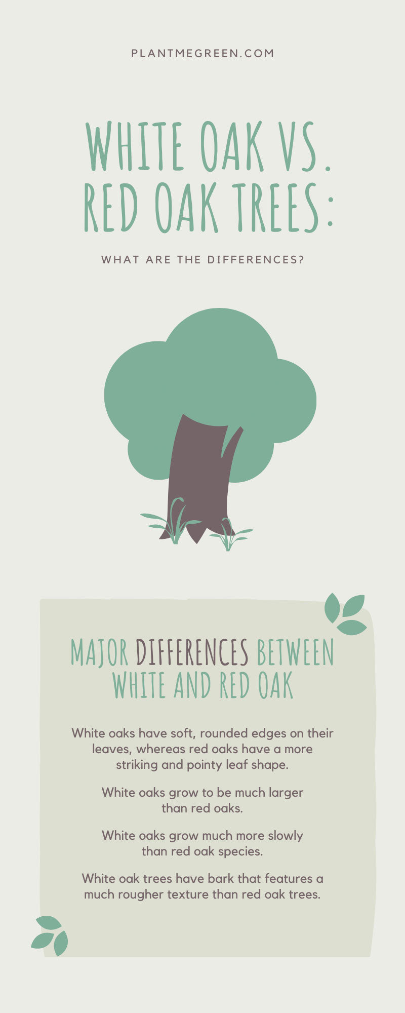 White Oak vs. Red Oak Trees: What Are the Differences?