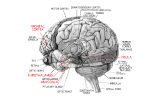 hearing-loss-audicus-mental-health