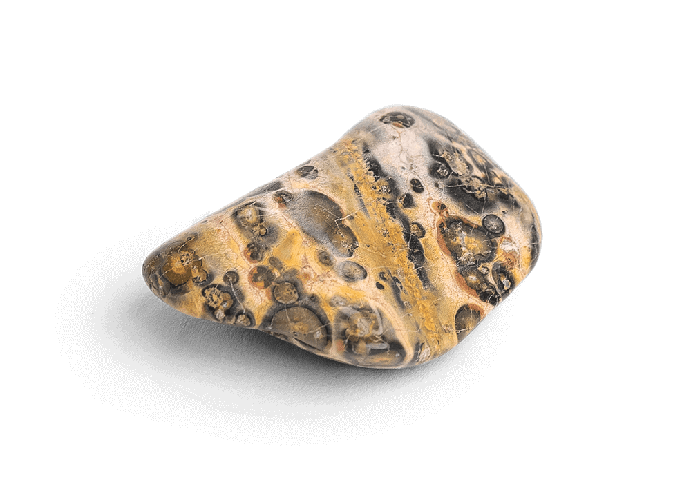 leopard skin jasper mcrocks