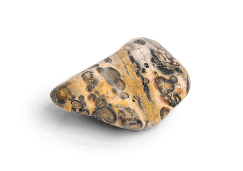 leopard skin jasper spiritual meaning with family