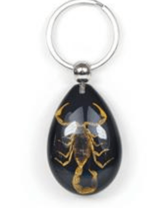 Scorpion on Black Drop Lucite Keychain