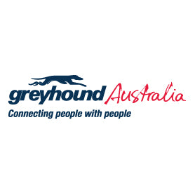 Greyhound