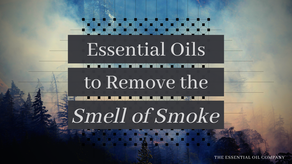 essential-oils-to-remove-the-smell-of-smoke-the-essential-oil-company