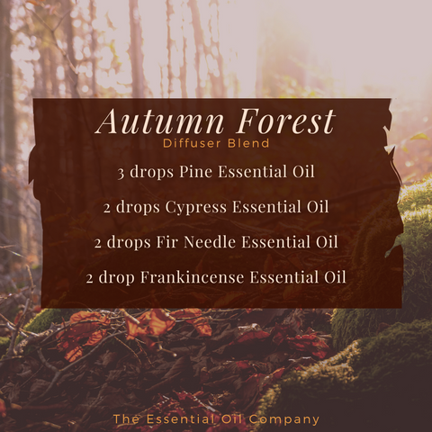 "Autumn Forest" diffuser blend