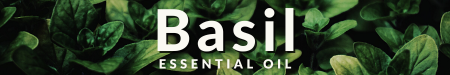 Basil Essential Oil